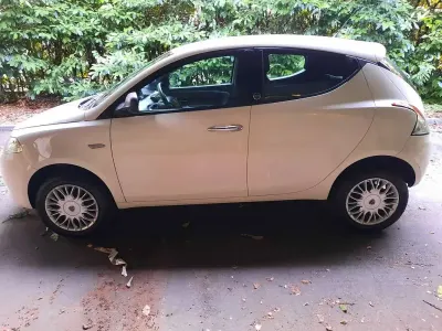 Usata Lancia Ypsilon Silver 85 CV (62 kW) 2017 Bianco Utilitaria