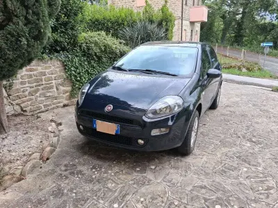 Usata Fiat Punto Lounge 69 CV (50 kW) 2017 Utilitaria