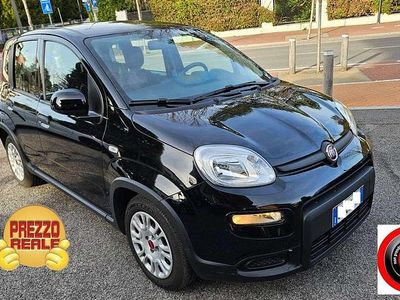 Usata Fiat Panda Icon 69 CV (50 kW) 2023 Nero Utilitaria