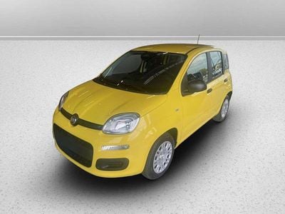 Nuova Fiat Panda Icon 70 CV (51 kW) 2025 Giallo positano Utilitaria