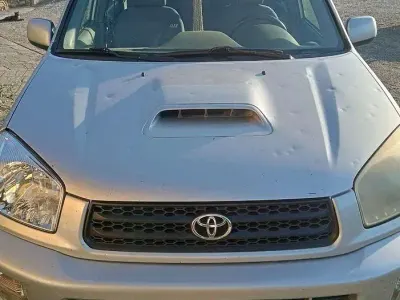 Usata Toyota RAV4