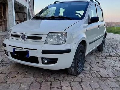 Usata Fiat Panda 2007 Bianco Utilitaria