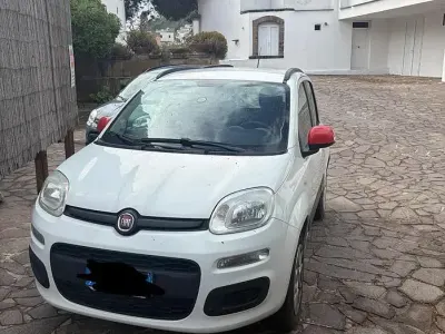 Usata Fiat Panda 85 CV (62 kW) 2014 Bianco Utilitaria