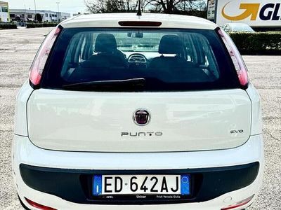 usata Fiat Punto Evo 1.3 Mjt NEOPATENTATI