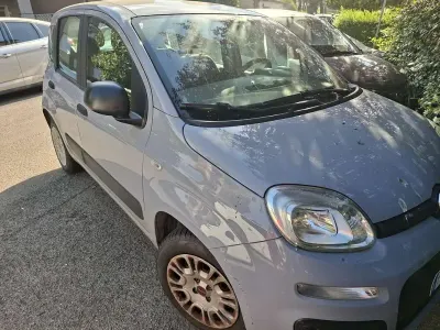 Usata Fiat Panda Easy 69 CV (50 kW) 2018 Utilitaria