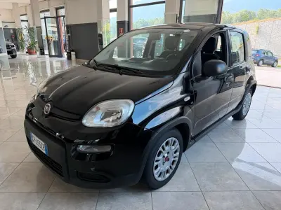 Usata Fiat Panda Cross