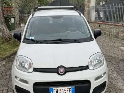 Usata Fiat Panda Easy 80 CV (58 kW) 2014 Utilitaria