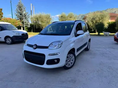Usata Fiat Panda Lounge 75 CV (55 kW) 2014 Bianco Utilitaria