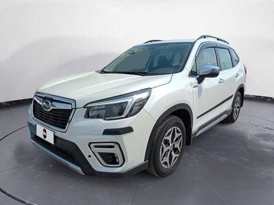 Usado Subaru Forester