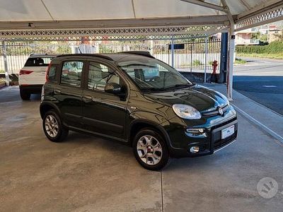 Usata Fiat Panda 4x4 Lounge 75 CV (55 kW) 2013 Verde Utilitaria