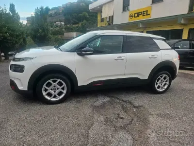 Usata Citroën C4 Cactus 102 CV (75 kW) 2020 Bianco Utilitaria