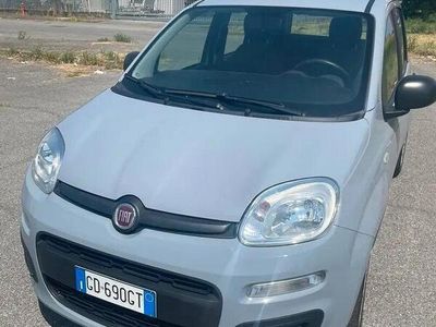Usata Fiat Panda Easy 69 CV (50 kW) 2021 Grigio Utilitaria