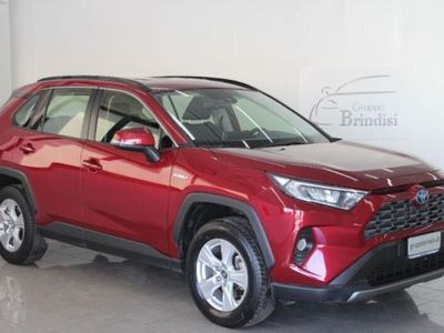 usata Toyota RAV4 Hybrid 2WD Dynamic del 2019 usata a Potenza