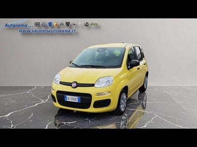 Usata Fiat Panda Icon 69 CV (50 kW) 2025 Giallo Utilitaria