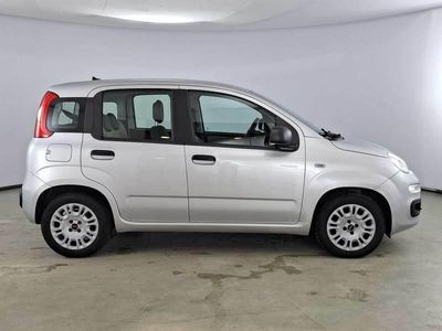 usata Fiat Panda 1.3 Mjt 95cv S/S E6 Easy 5 PORTE