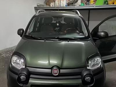 Usata Fiat Panda Cross Cross 69 CV (50 kW) 2019 Verde Utilitaria