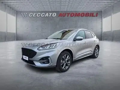 Usata Ford Kuga ST-Line 224 CV (164 kW) 2023 Argento SUV