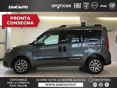 Usata Fiat Doblò Trekking 120 CV (88 kW) 2017 Other Monovolume