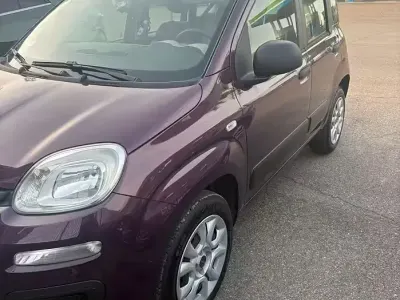 Usata Fiat Panda Easy 85 CV (62 kW) 2014 Utilitaria