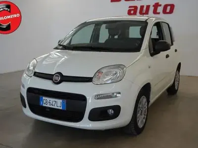 Usata Fiat Panda Easy 69 CV (50 kW) 2020 Bianco Utilitaria