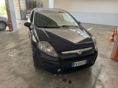 Usata Fiat Punto Evo