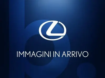 Usado Lexus UX 250h 183 CV (134 kW) 2019 Azul SUV