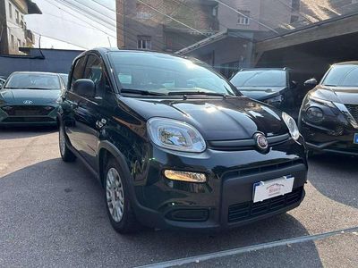 Usata Fiat Panda 70 CV (51 kW) 2024 Nero Utilitaria