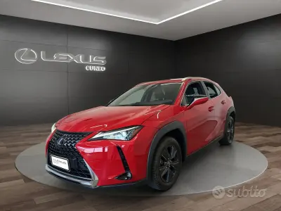 Usata Lexus UX 250h