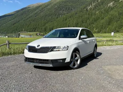 Usata Skoda Rapid Ambition 116 CV (85 kW) 2017 Bianco Utilitaria