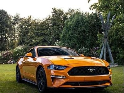 Usata Ford Mustang Convertible 290 CV (213 kW) 2019 Cabrio