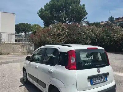 Usata Fiat Panda 75 CV (55 kW) 2013 Beige Utilitaria