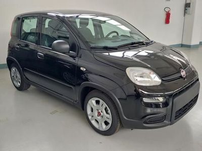 usata Fiat Panda 3ª serie 1.0 FireFly S&S Hybrid