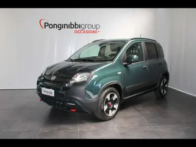 Usata Fiat Panda Cross Cross 69 CV (50 kW) 2023 Verde Utilitaria