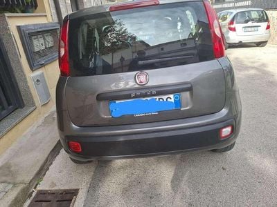 Usata Fiat Panda Easy 69 CV (50 kW) 2020 Utilitaria