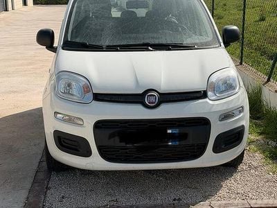 Usata Fiat Panda 70 CV (51 kW) 2021 Bianco Utilitaria