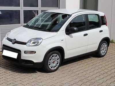 usata Fiat Panda -