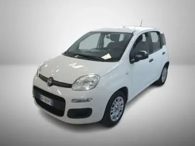 Usata Fiat Panda Easy 69 CV (50 kW) 2021 Other Utilitaria