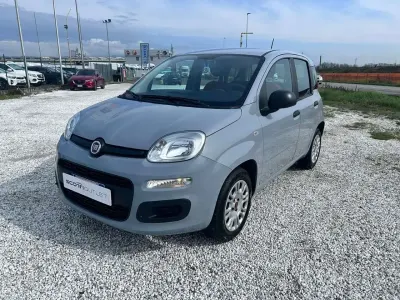 Usata Fiat Panda Easy 69 CV (50 kW) 2020 Gray Utilitaria