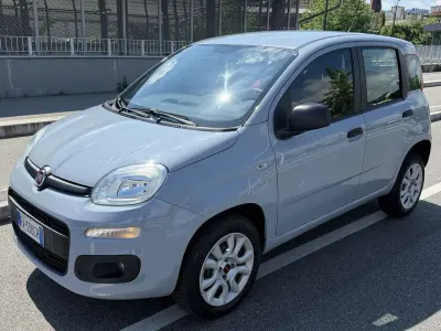 Usata Fiat Panda Easy 80 CV (58 kW) 2019 Grigio Utilitaria