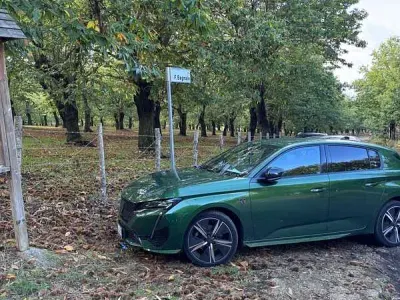 Usata Peugeot 308 GT 131 CV (96 kW) 2022 Verde Berlina