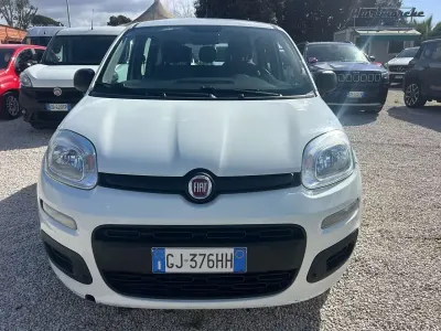 Usata Fiat Panda