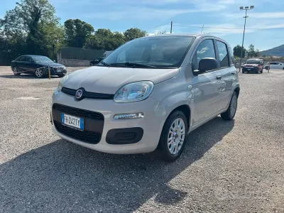 Usata Fiat Panda 69 CV (50 kW) 2017 Beige Utilitaria