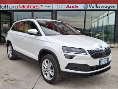 Usata Skoda Karoq