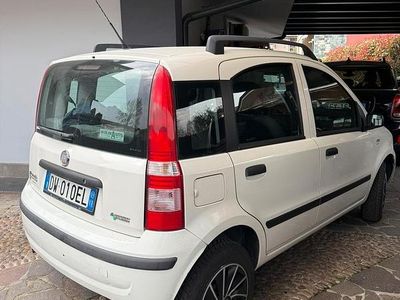 Usata Fiat Panda Dynamic 60 CV (44 kW) 2009 Bianco Utilitaria