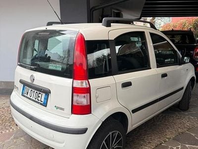 Usata Fiat Panda Dynamic 77 CV (56 kW) 2009 Bianco Utilitaria