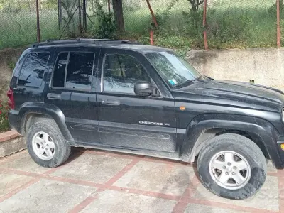 Usata Jeep Cherokee