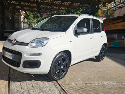 Usata Fiat Panda 80 CV (58 kW) 2015 Bianco Utilitaria