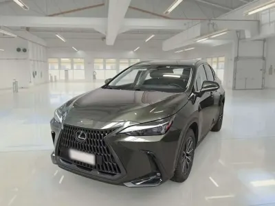 Usata Lexus NX450h+ 185 CV (136 kW) 2023 Verde SUV