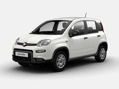 usata Fiat Panda 1.0 firefly hybrid s&s 70cv