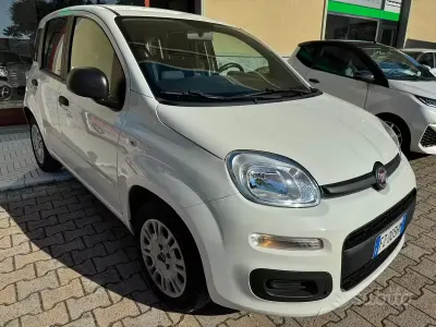 Usata Fiat Panda Easy 69 CV (50 kW) 2019 Bianco Utilitaria
